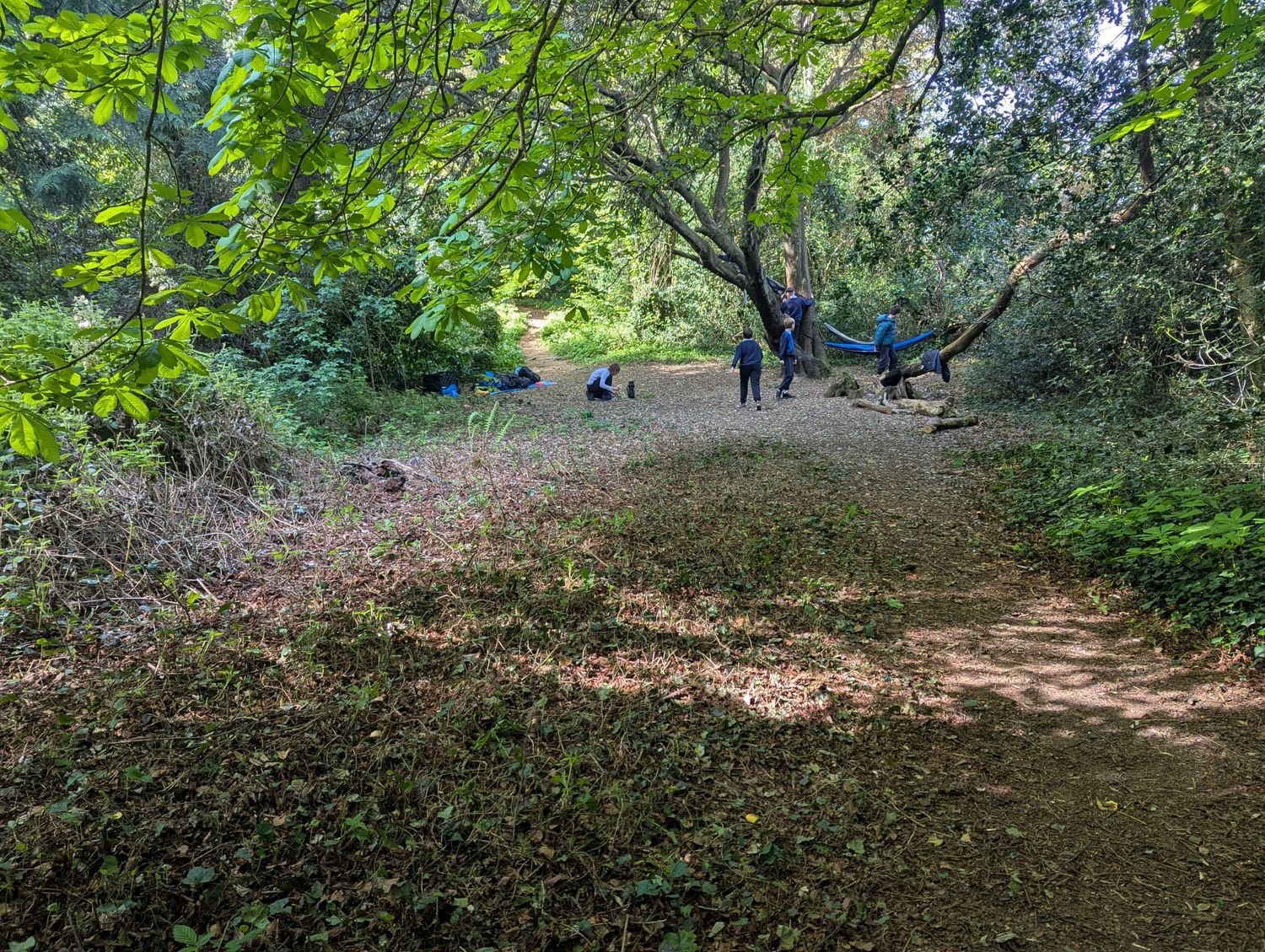 Children making their way through the woodland