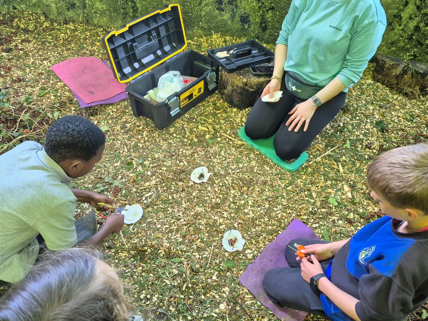 Fairy Fires activity