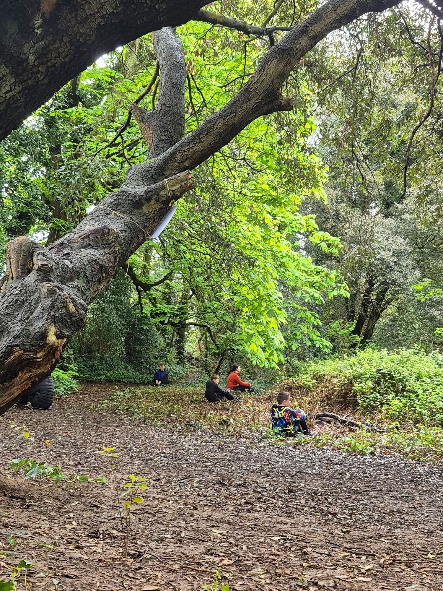 Quiet reflection during a sit spot
