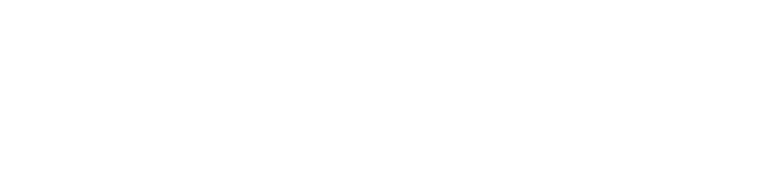 Forest School at St Cronan's NS
